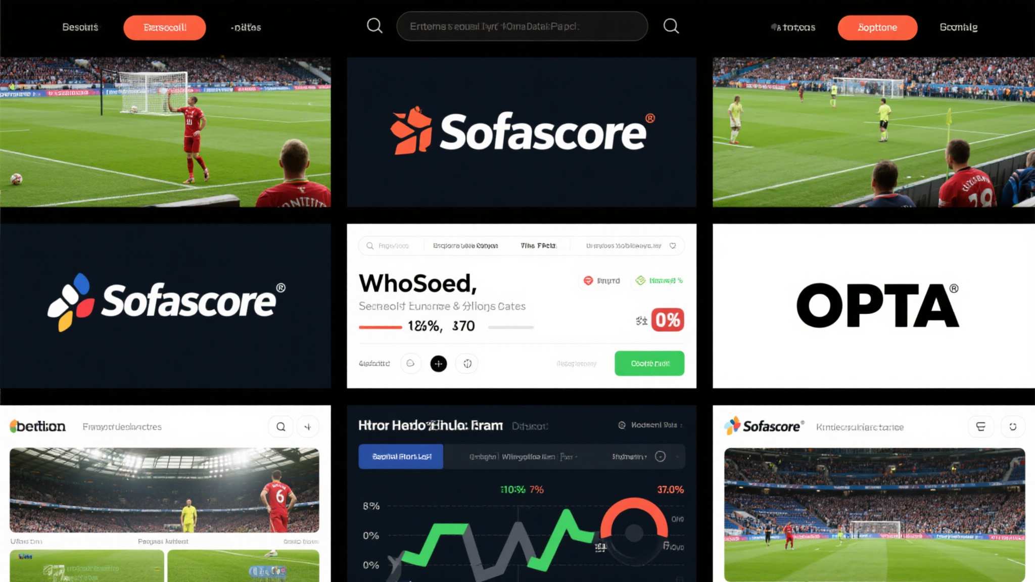 世界杯比分团队